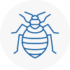 Bed Bug Extermination In Glastonbury