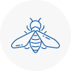 Bee Nest Removal Glastonbury