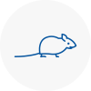 Mice Exterminators In Glastonbury