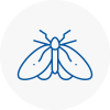 Moth Control Specialists In Glastonbury