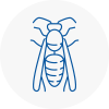 Glastonbury Wasp Nest Removal